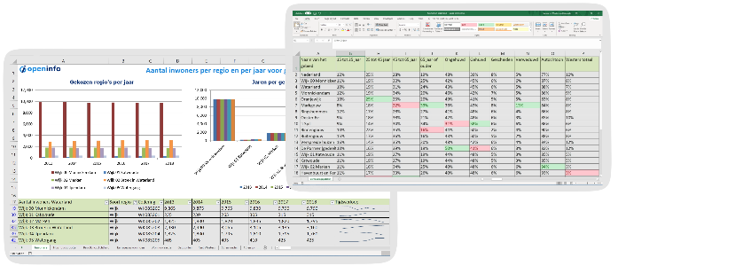 Image of the Excel documents from the download with regional datasets for the municipality of Laarbeek.